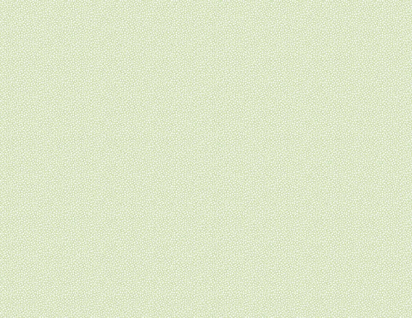 Washed Green