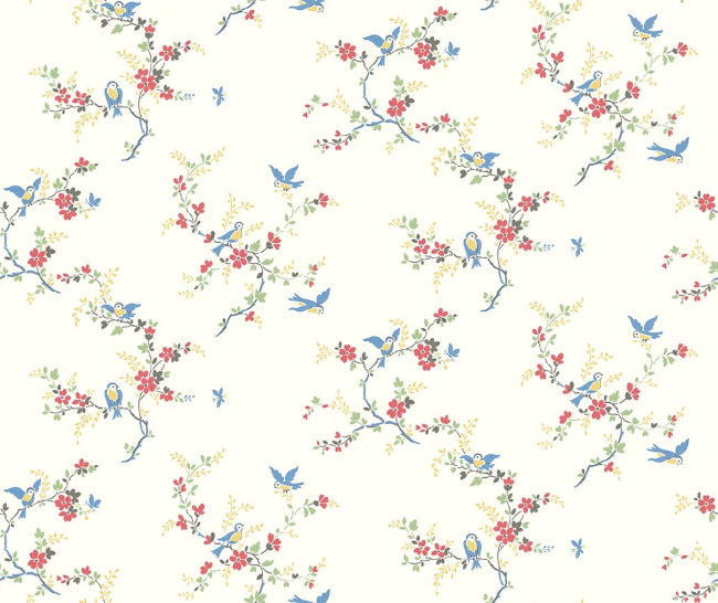 calm-primaries_clementina