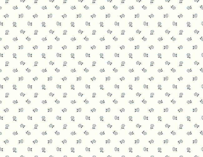 hint-of-gray_bonnie