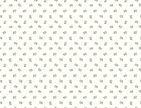 hint-of-gray_bonnie