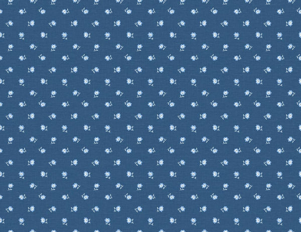 Nova Blue