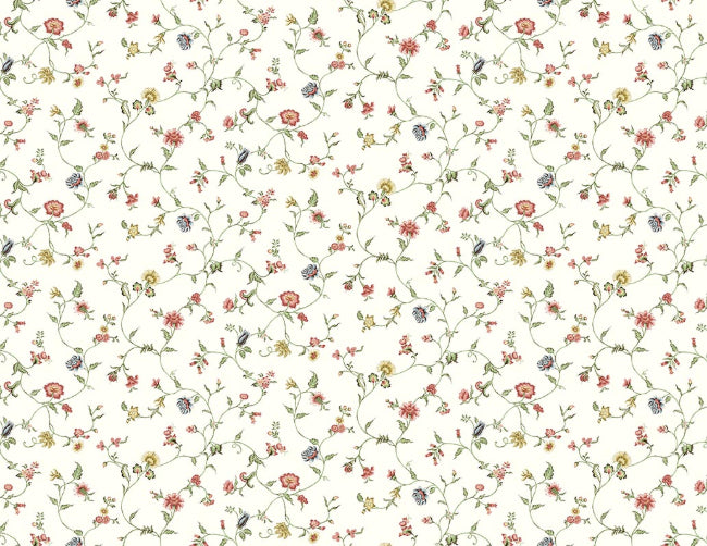 primary_holly