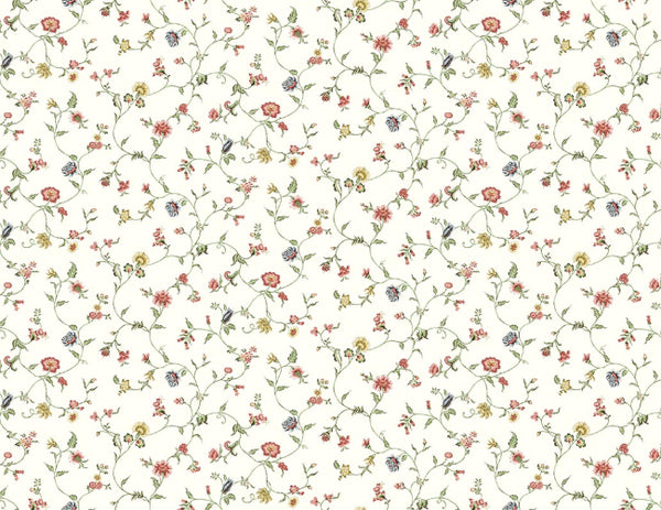 primary_holly