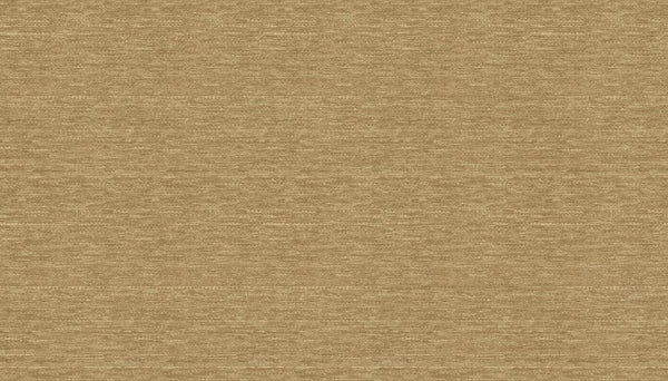 Wool
