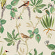 Cotton and Green