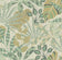 Citrus and Green