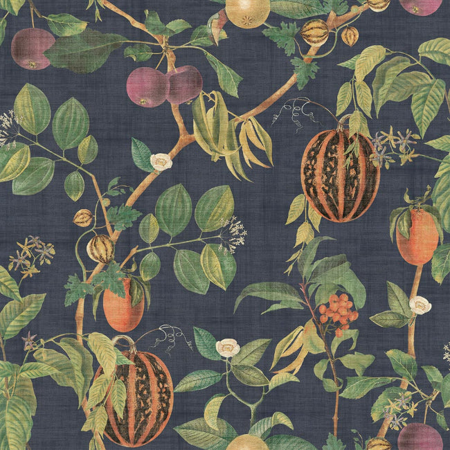 navy_tropic-house