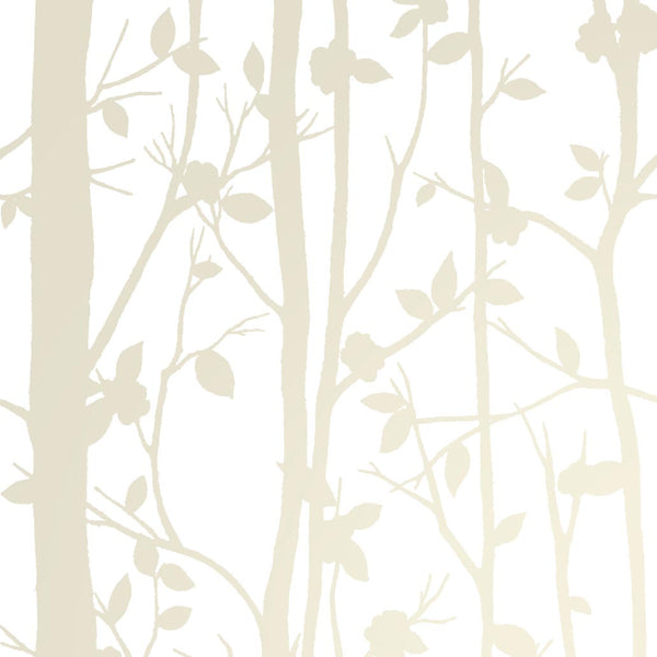 white_cottonwood