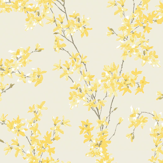 sunshine_forsythia