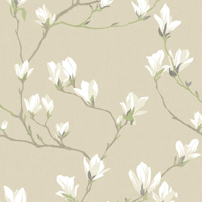 natural_magnolia