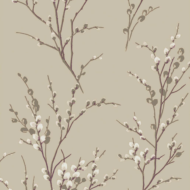 Pussy Willow in Natural