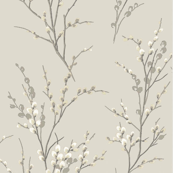 Dove Grey