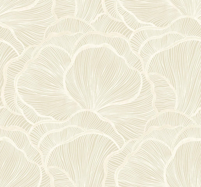 coconut_denali