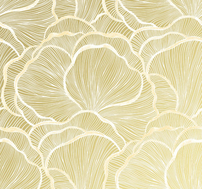 gold_denali