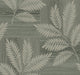Warm Gray