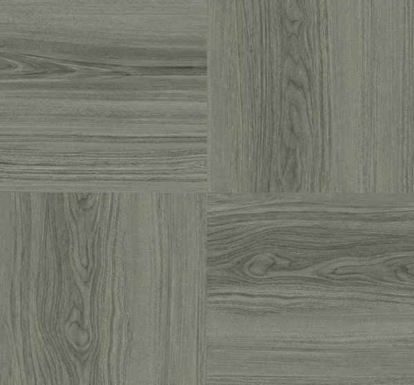 carbon_tasman