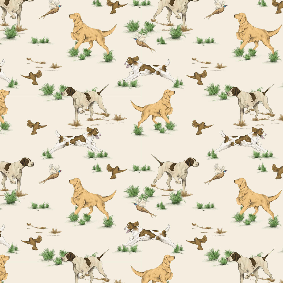 Bird Dog Stalk in Cream