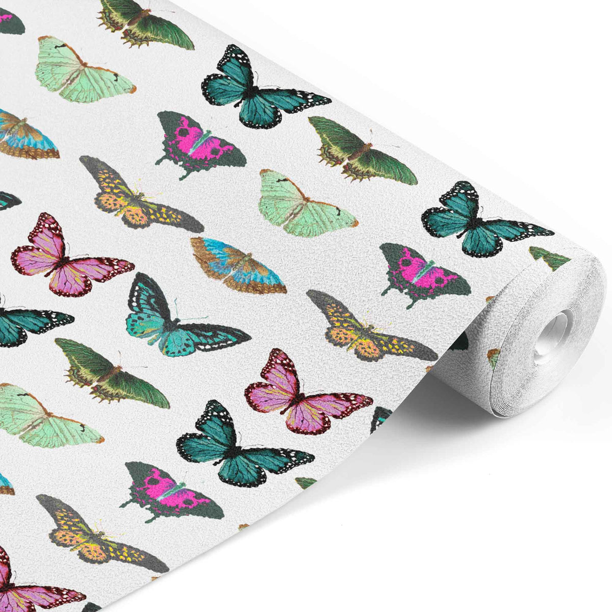 white_A collection of various colorful butterflies on a white background