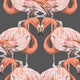 Charcoal
