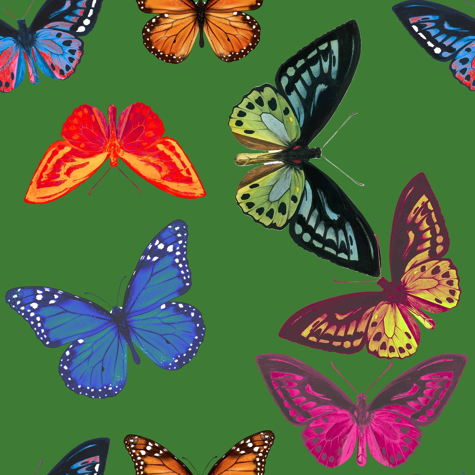 green_wallpaper pattern of multicolor butterflies on green background


