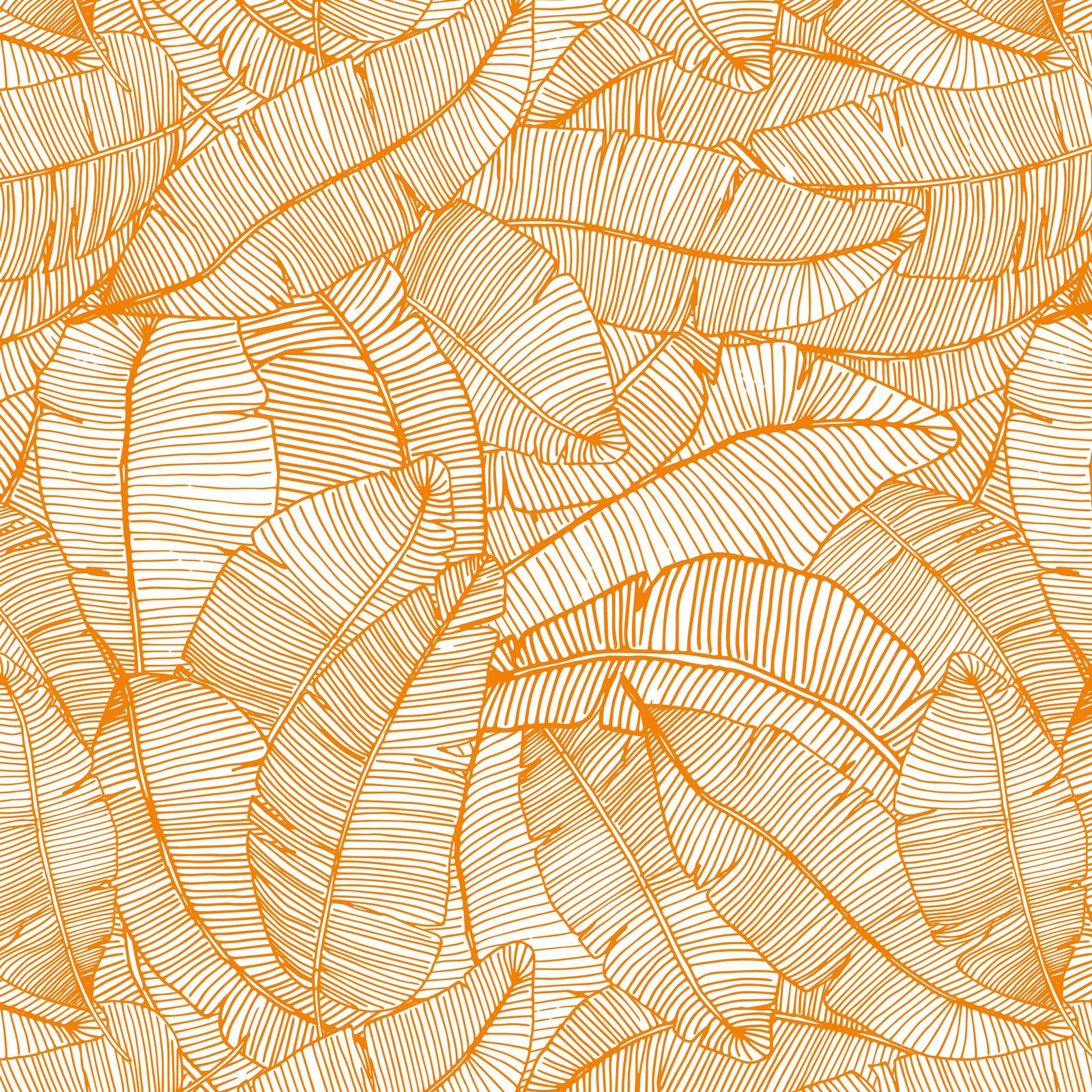 orange_A wallpaper with a pattern of orange and white feathers.