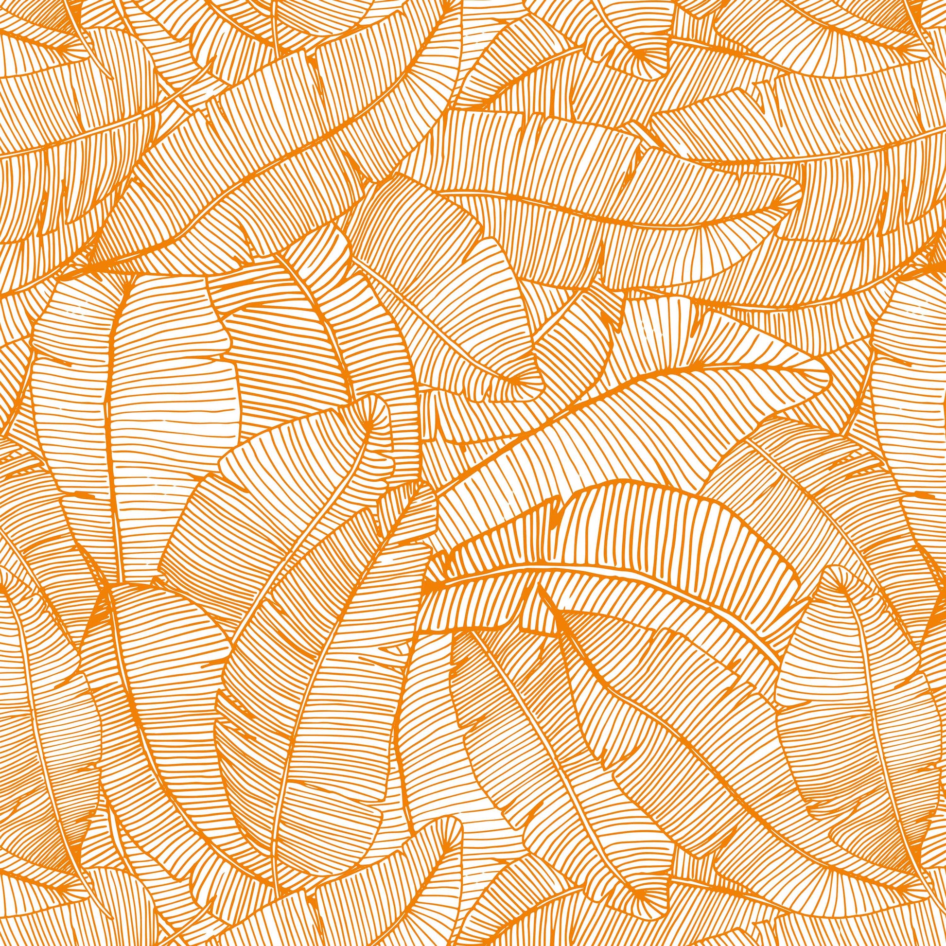 orange_A wallpaper with a pattern of orange and white feathers.