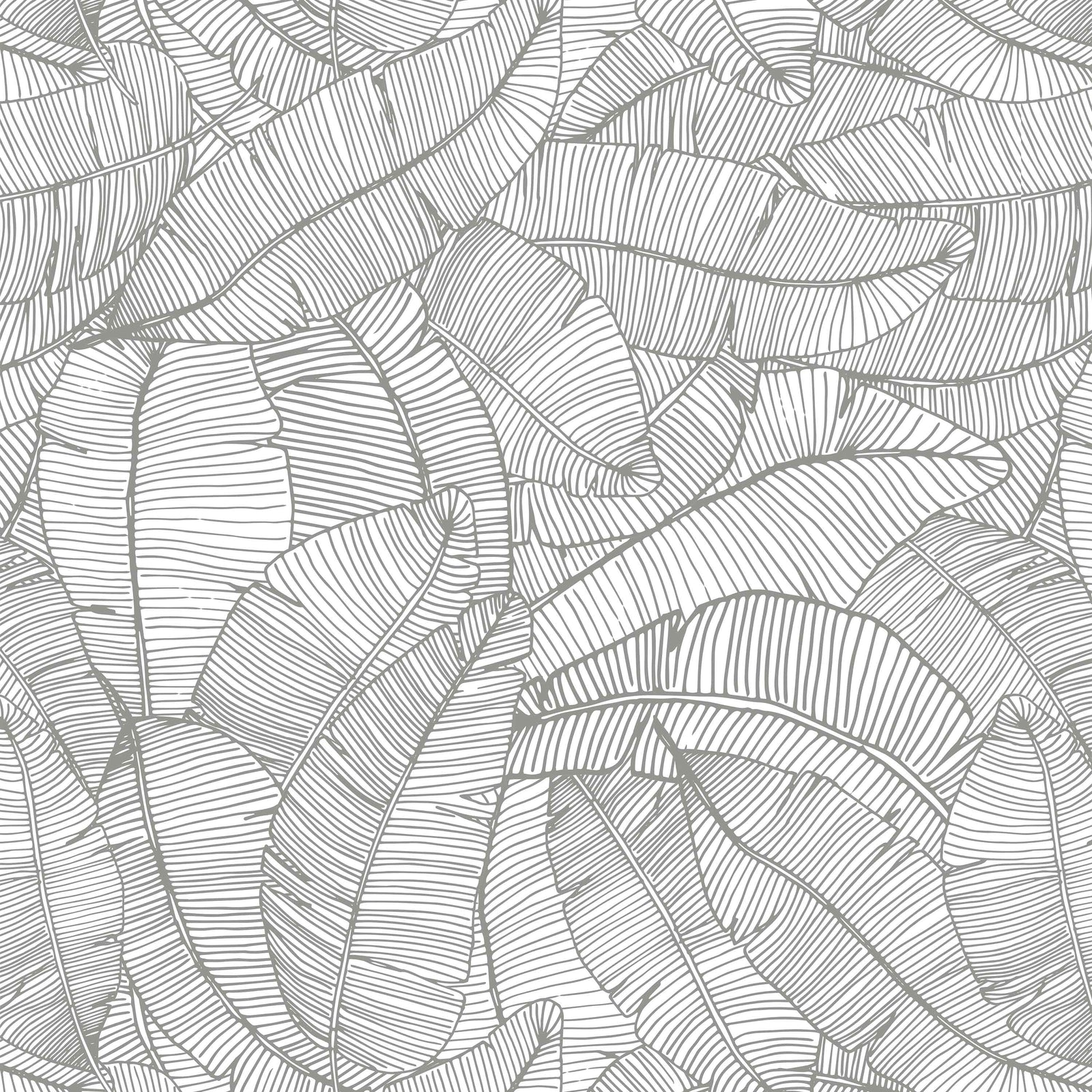 grey_A wallpaper with a pattern of grey and white feathers.
