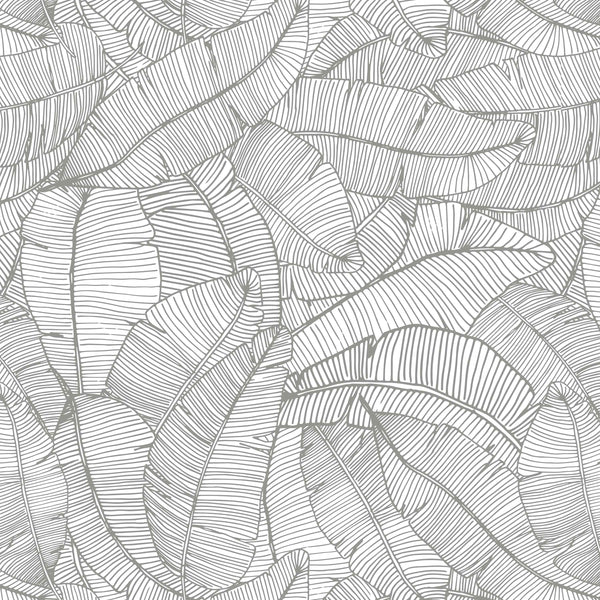 grey_A wallpaper with a pattern of grey and white feathers.