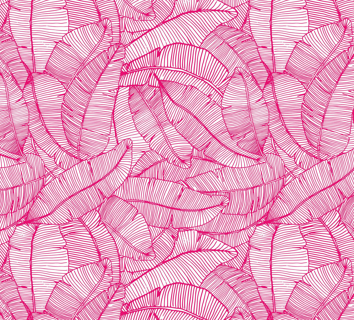 hot-pink_A wallpaper with a pattern of hot pink and white feathers.
