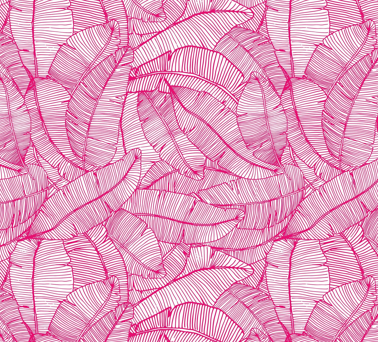 hot-pink_A wallpaper with a pattern of hot pink and white feathers.