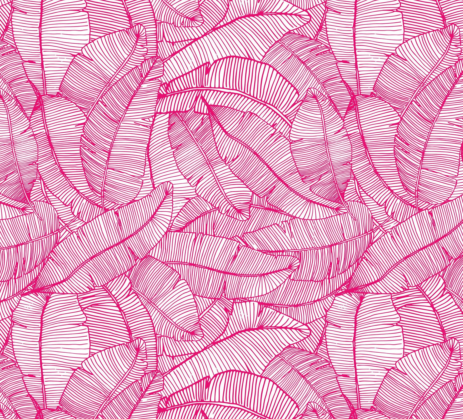 hot-pink_A wallpaper with a pattern of hot pink and white feathers.
