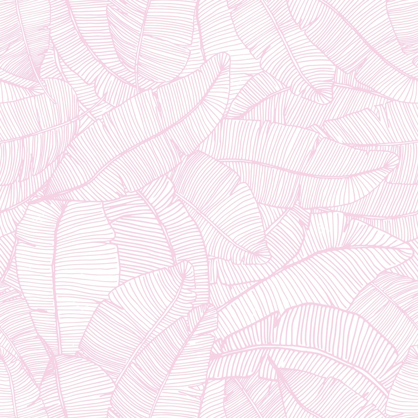 light-pink_A wallpaper with a pattern of light pink and white feathers.