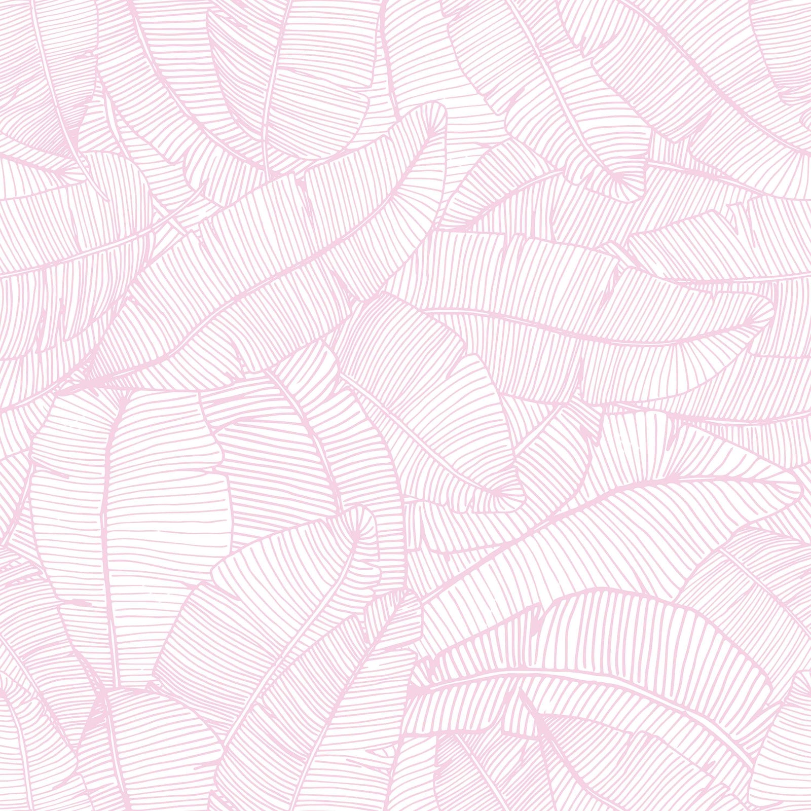 light-pink_A wallpaper with a pattern of light pink and white feathers.
