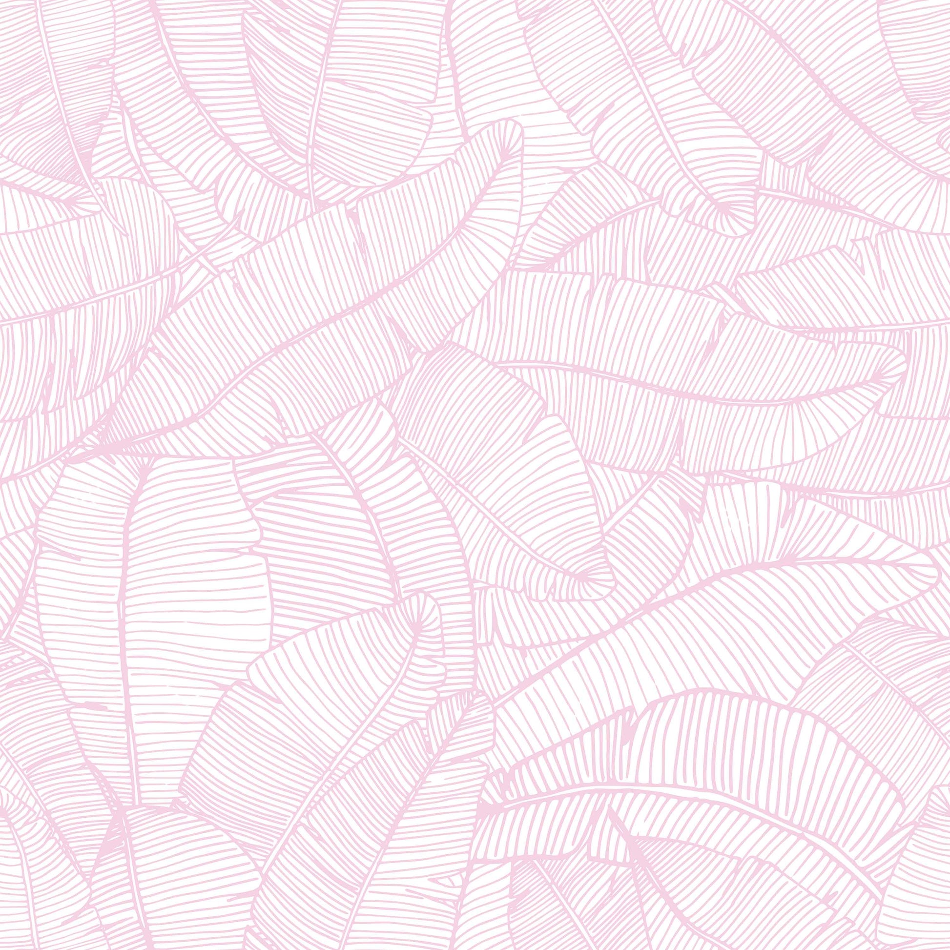 light-pink_A wallpaper with a pattern of light pink and white feathers.