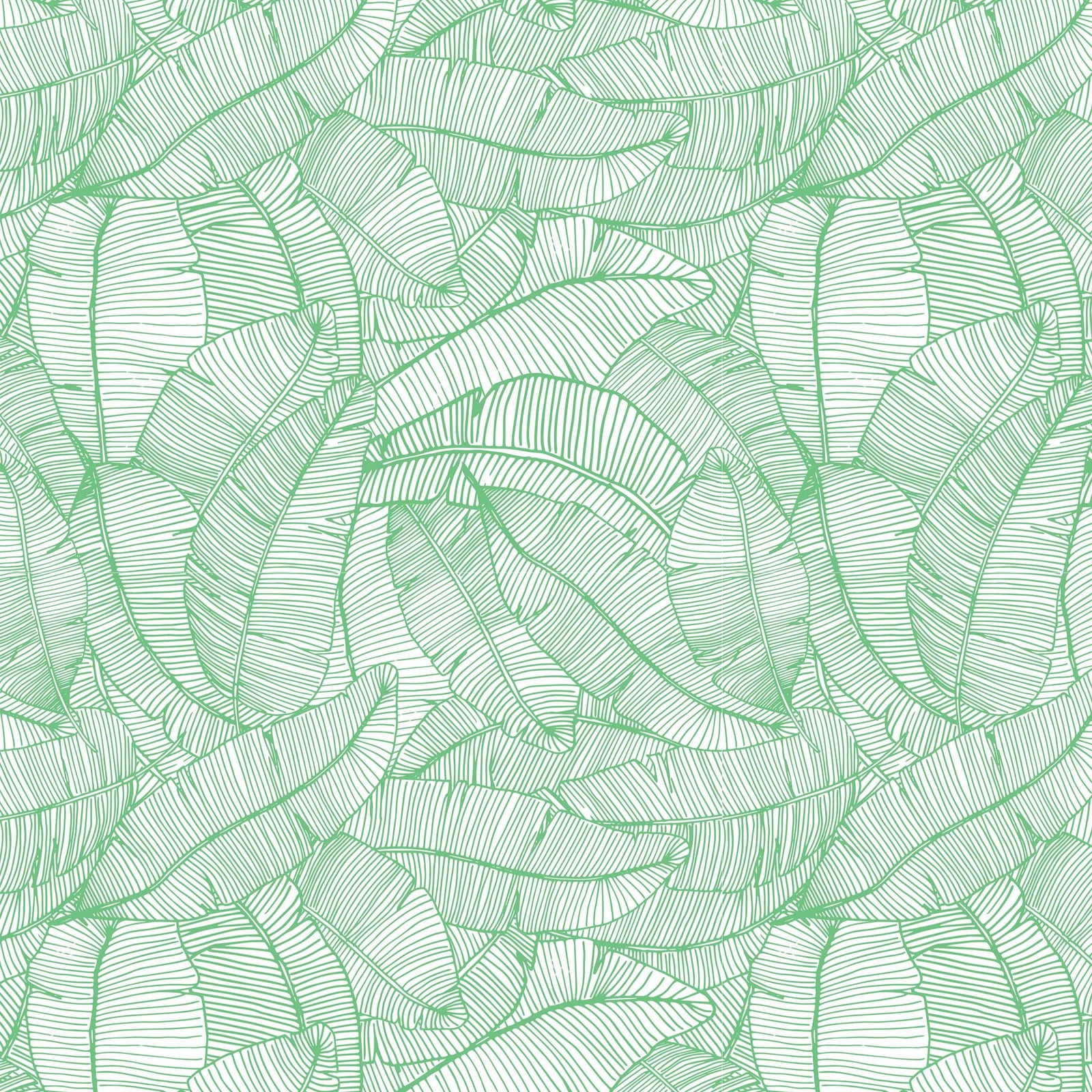 green_A wallpaper with a pattern of green and white feathers.