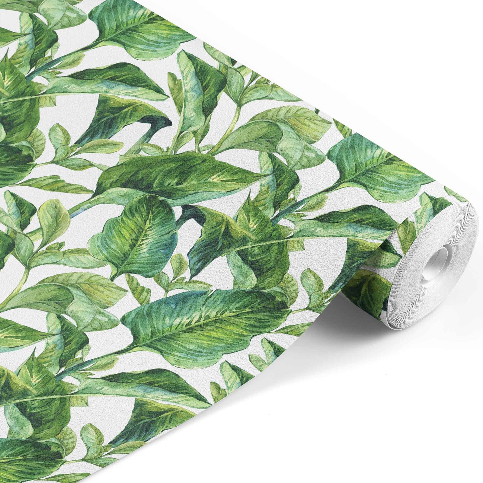 white_banana leaves on a white background