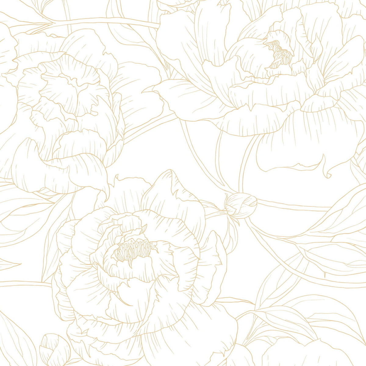 gold_A wallpaper with a repeated pattern of gold line drawings of peony flowers on a white background.