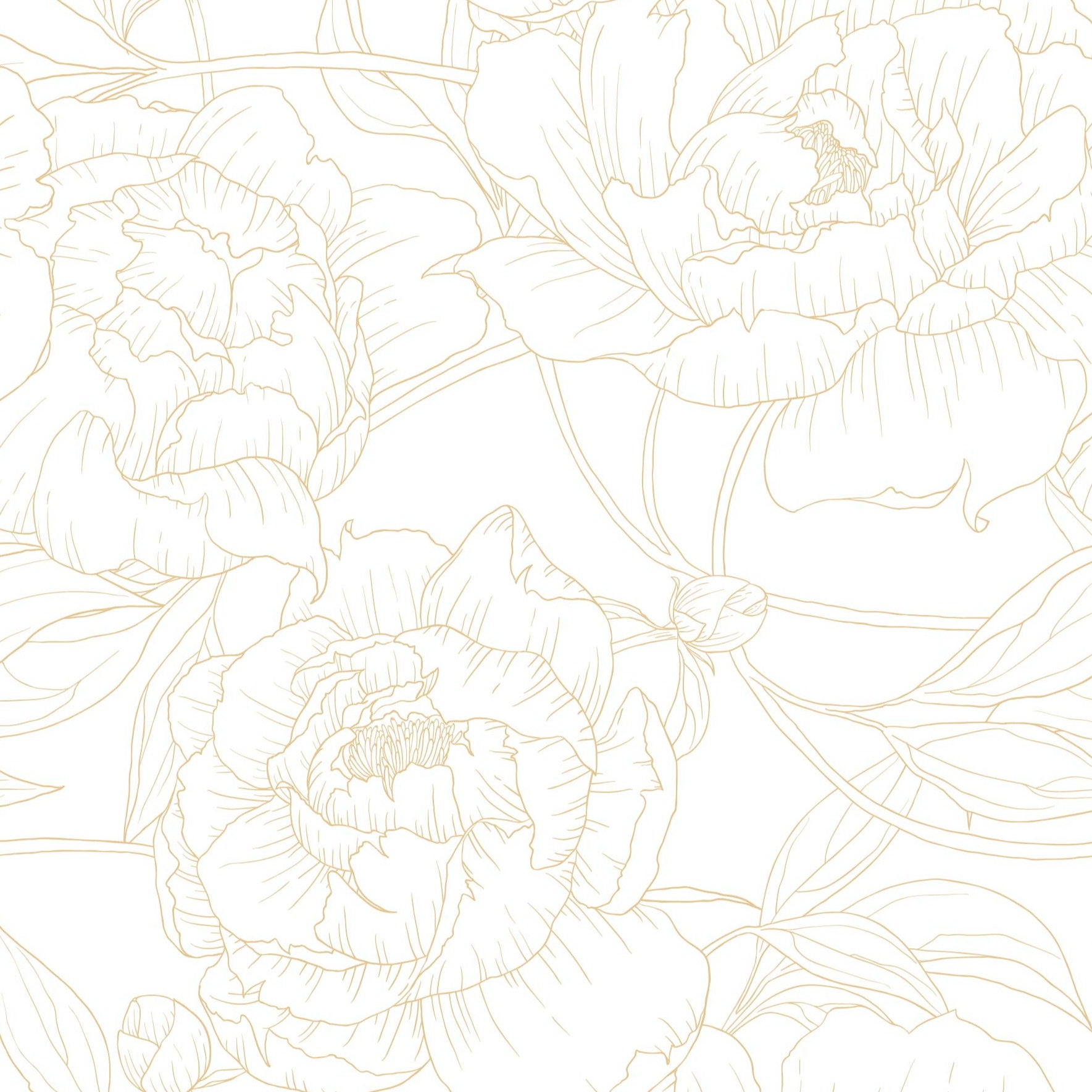 gold_A wallpaper with a repeated pattern of gold line drawings of peony flowers on a white background.