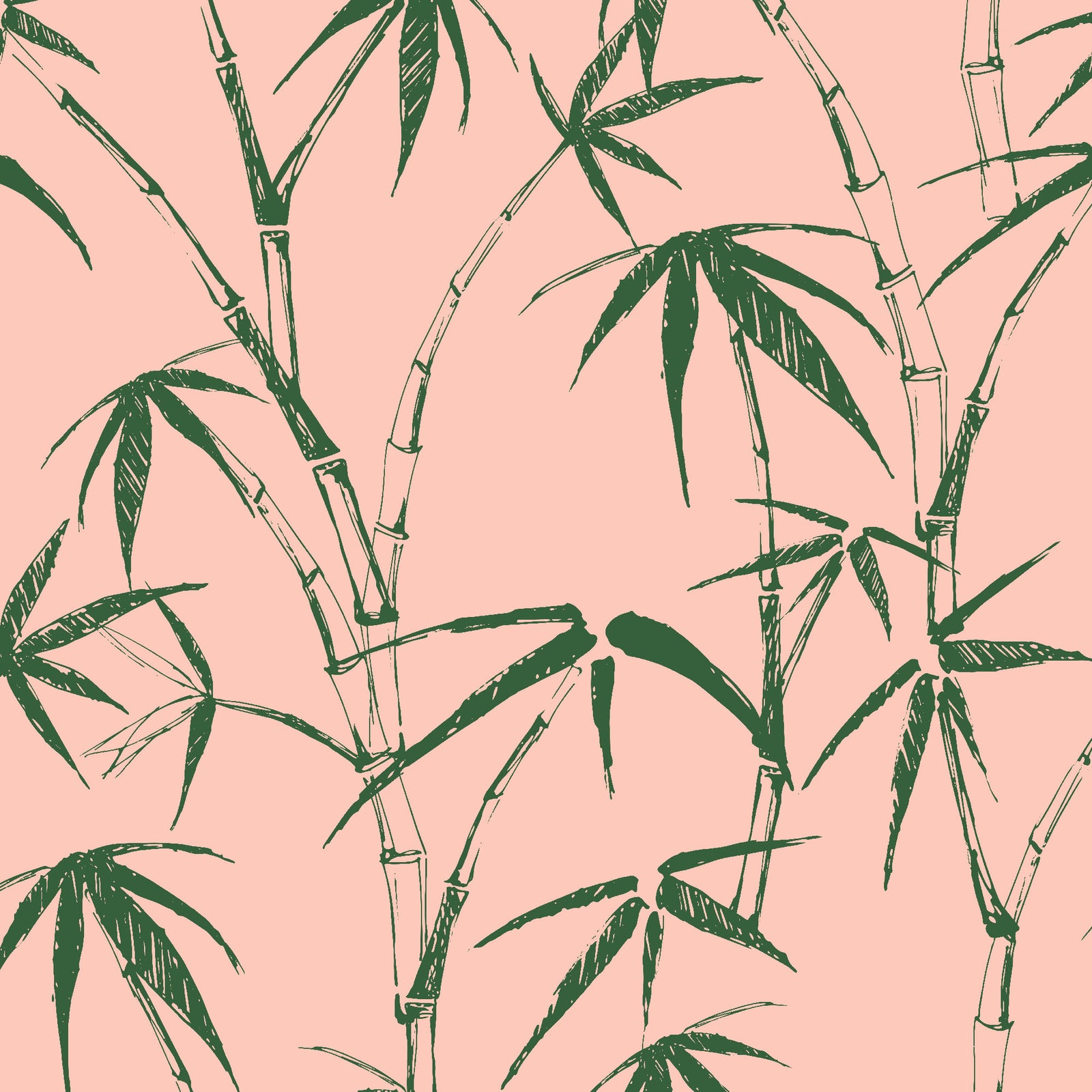 dark-moss_traditional wallpaper featuring a sketch of bamboo leaves and stems in green on a pink background