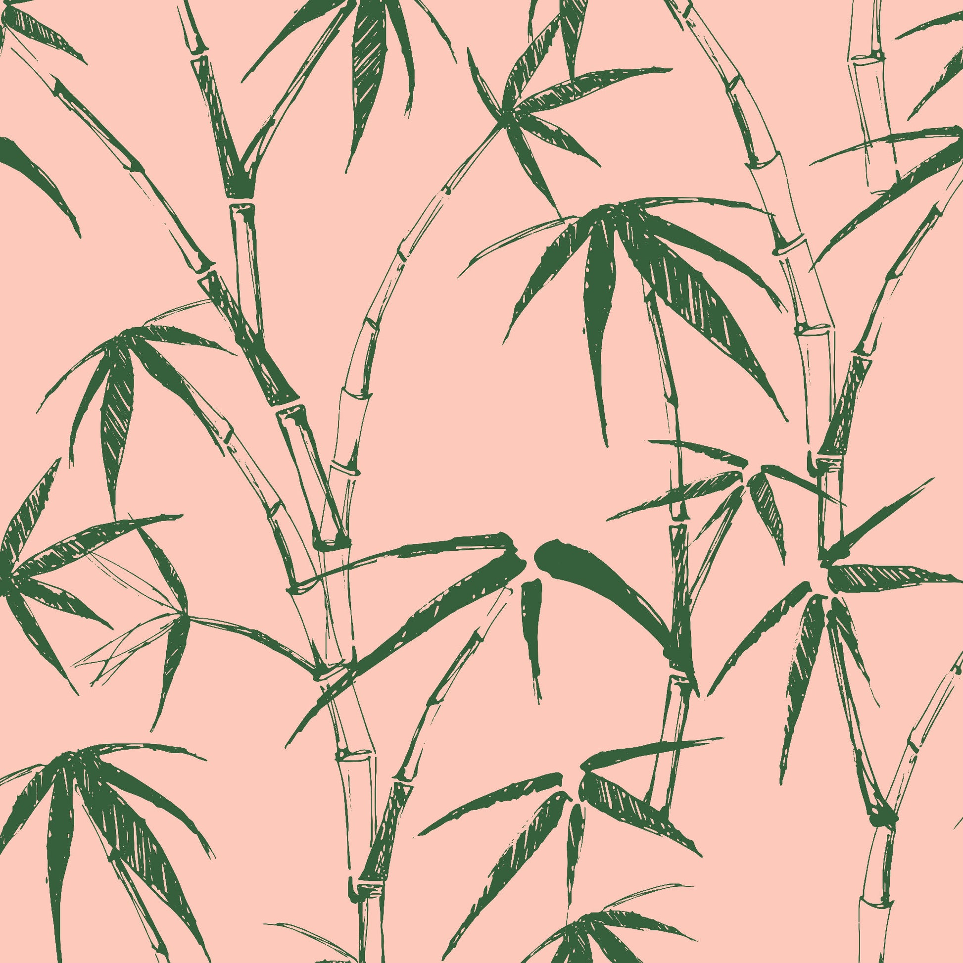dark-moss_traditional wallpaper featuring a sketch of bamboo leaves and stems in green on a pink background