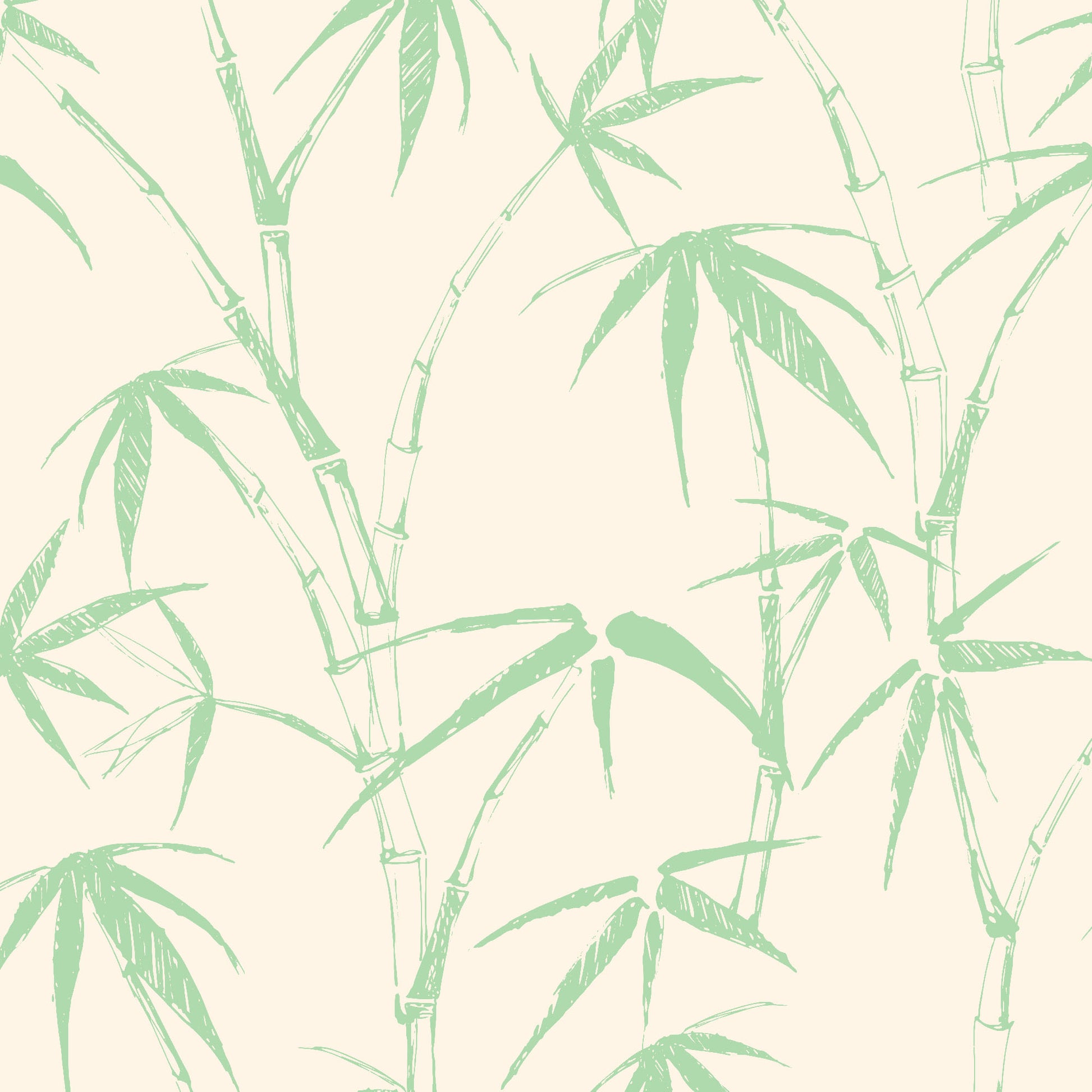 light-green_traditional wallpaper featuring a sketch of bamboo leaves and stems in light green on a cream background