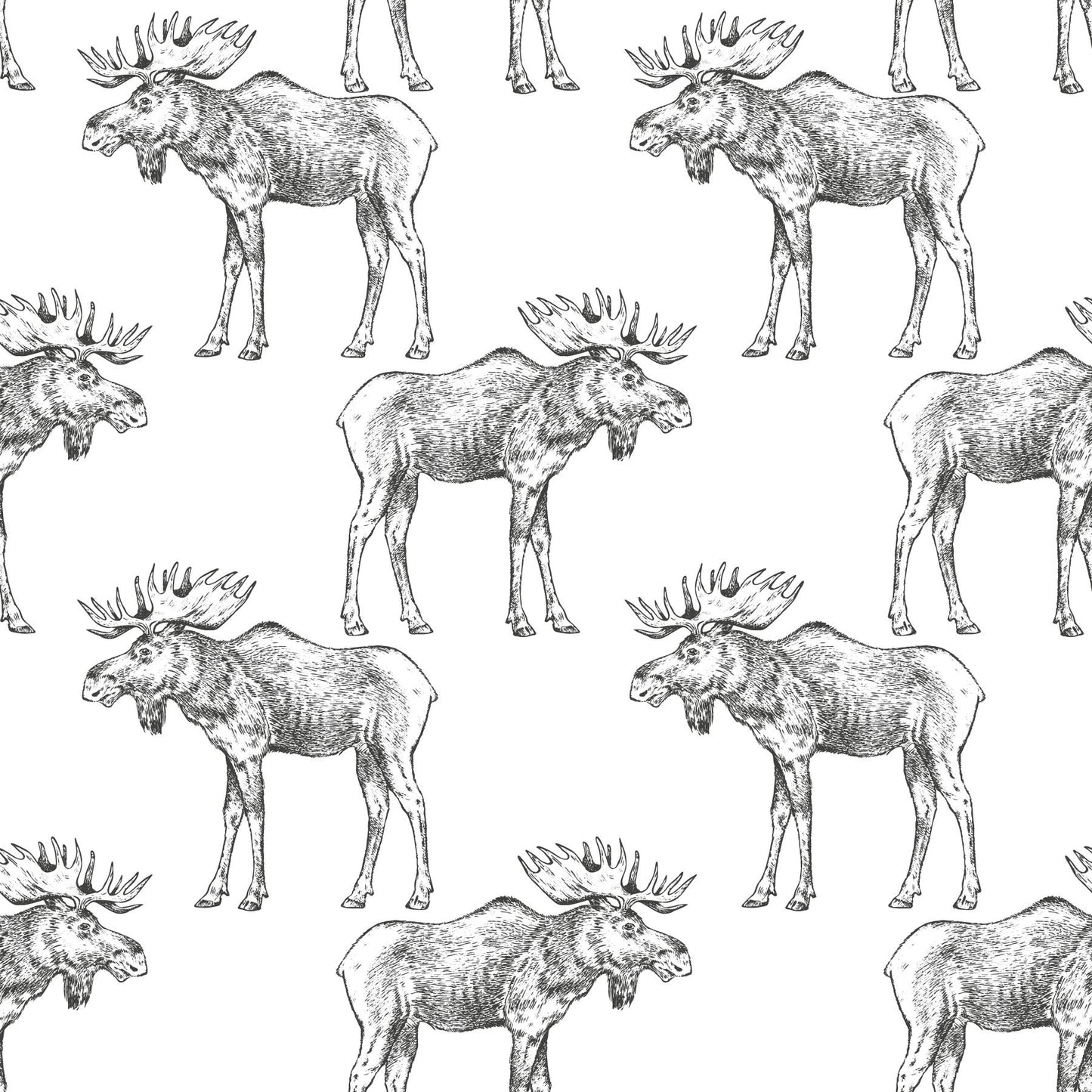white_black mooses on a white background