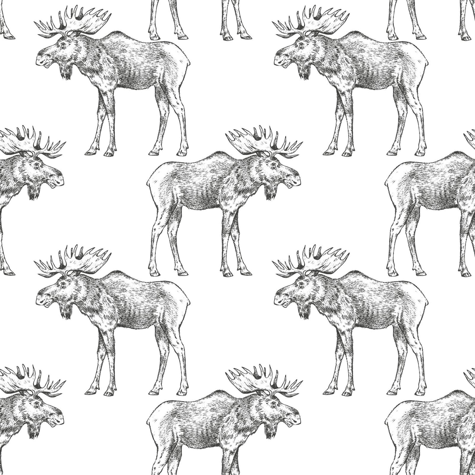 white_black mooses on a white background