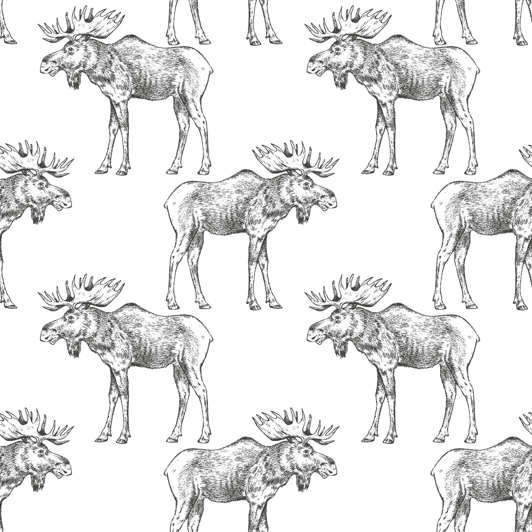 white_black mooses on a white background