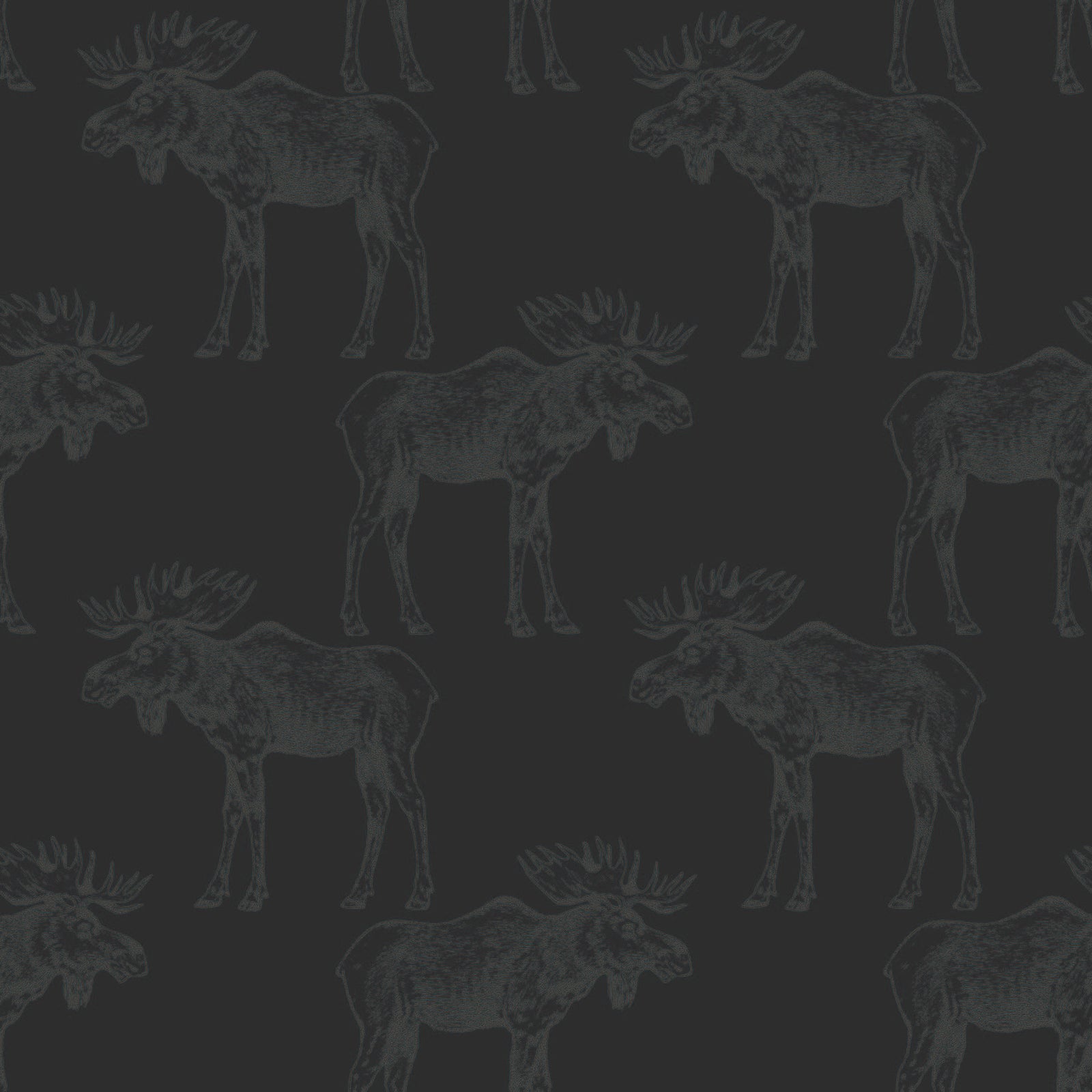 grey-black_grey mooses on a charcoal background