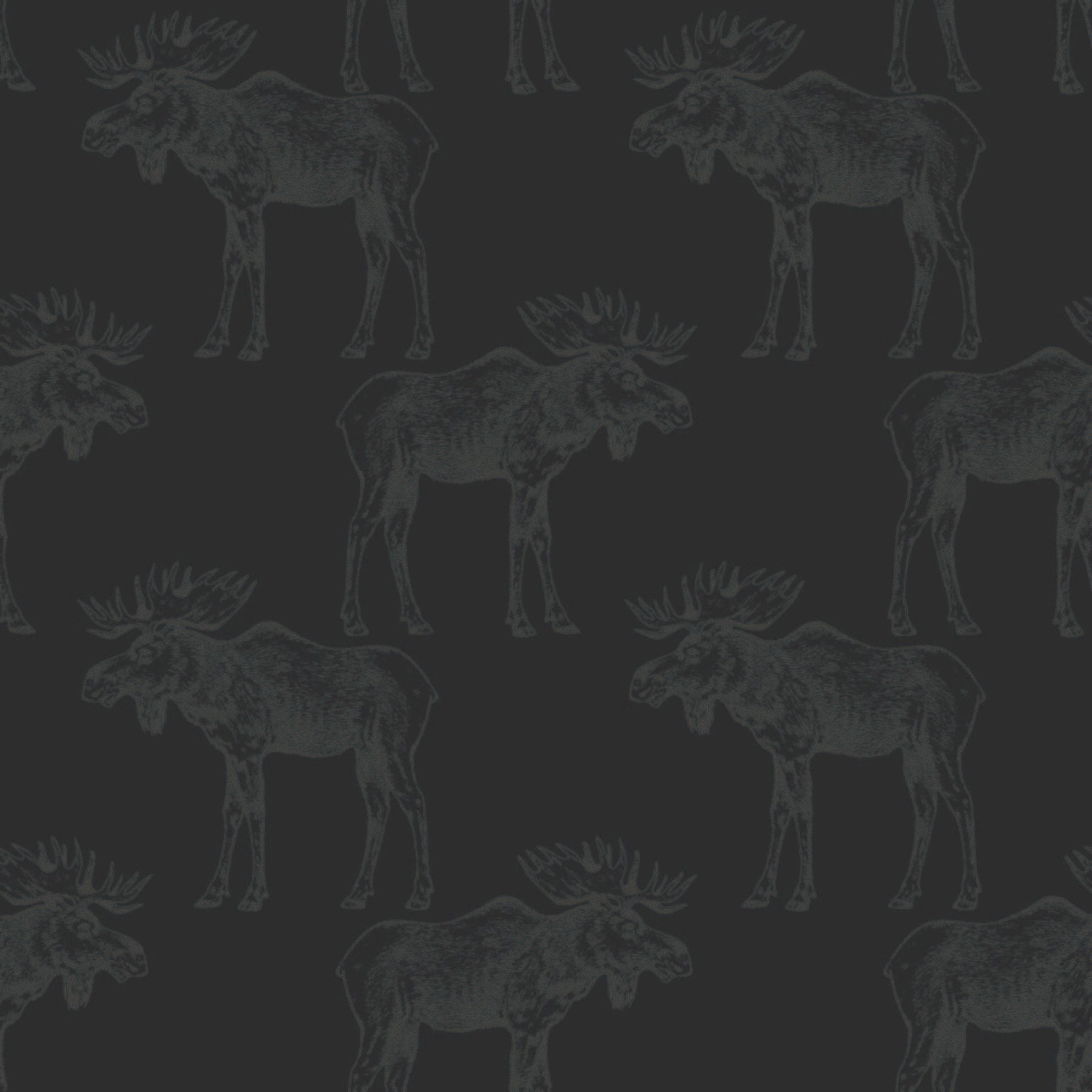 grey-black_grey mooses on a charcoal background