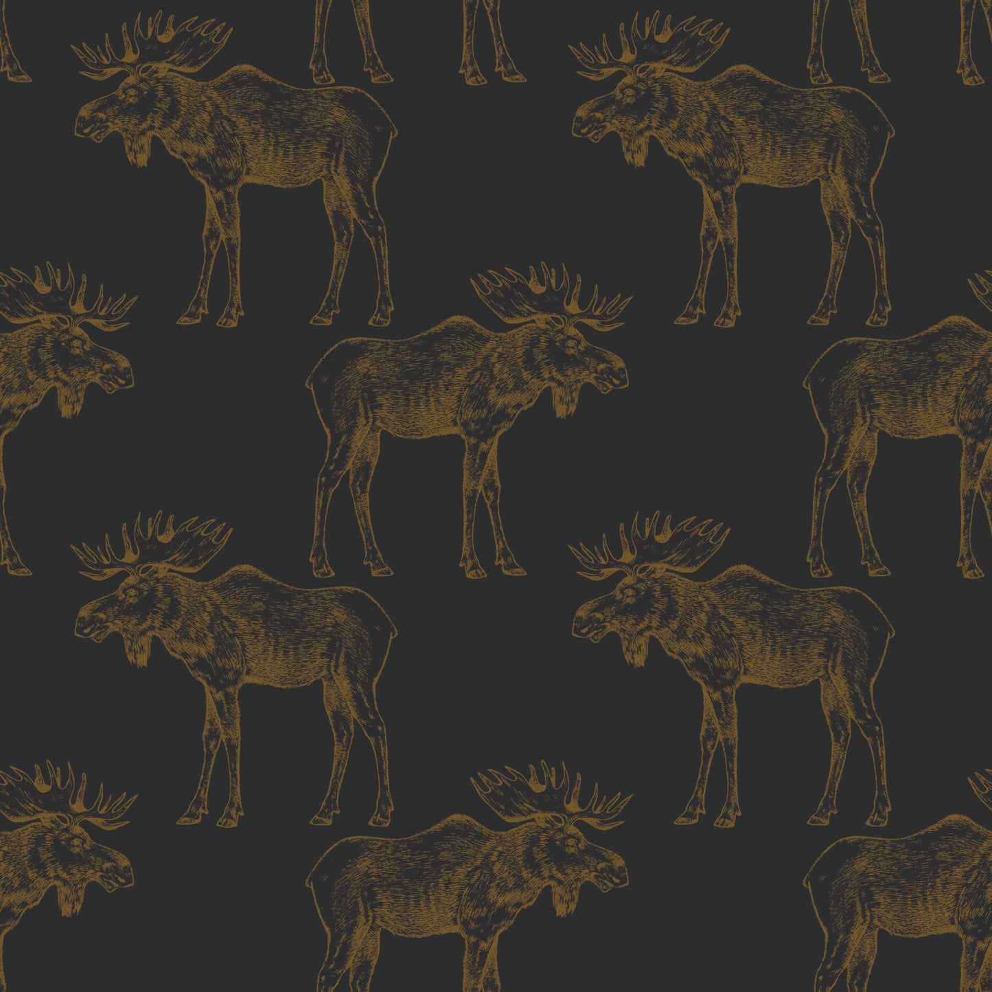 gold-black_gold mooses on a charcoal background