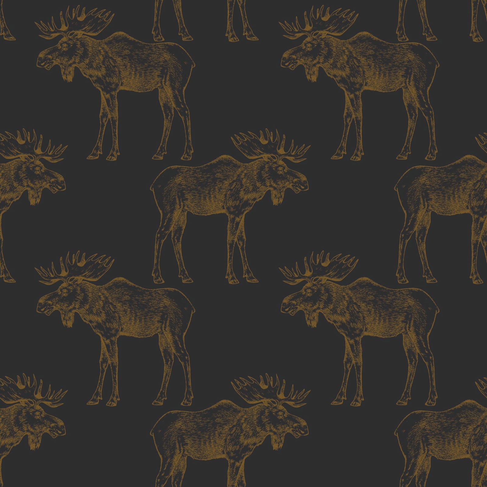 gold-black_gold mooses on a charcoal background