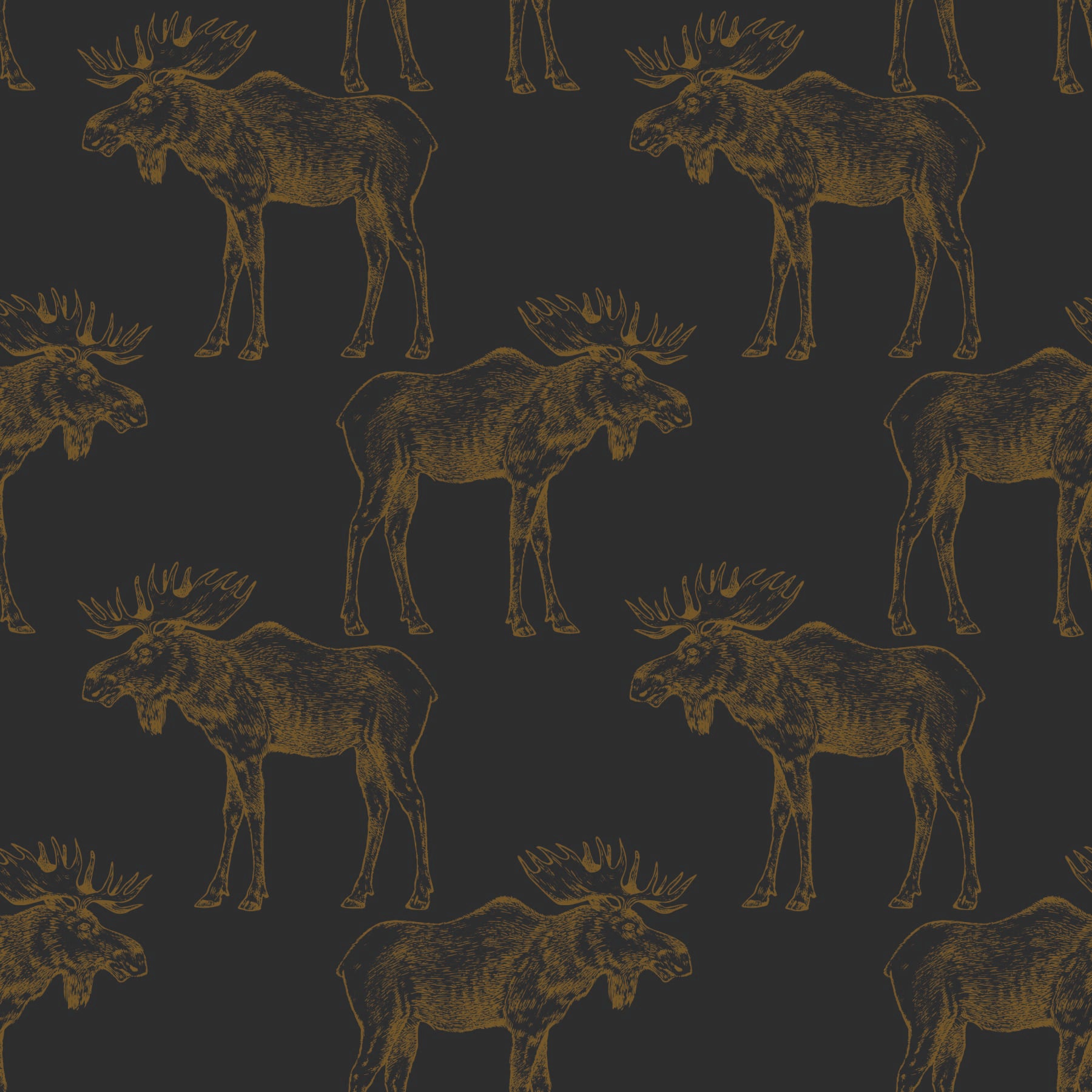 gold-black_gold mooses on a charcoal background