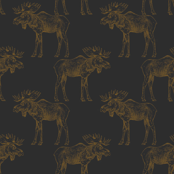 Gold & Black